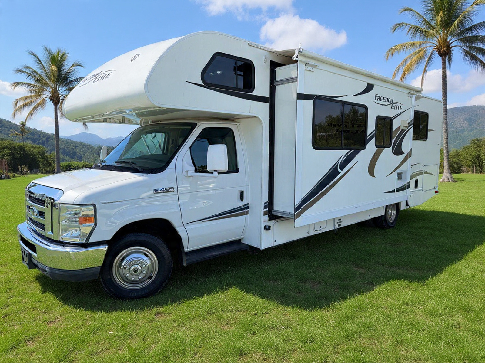 2014 Ford E-450 Freedom Elite